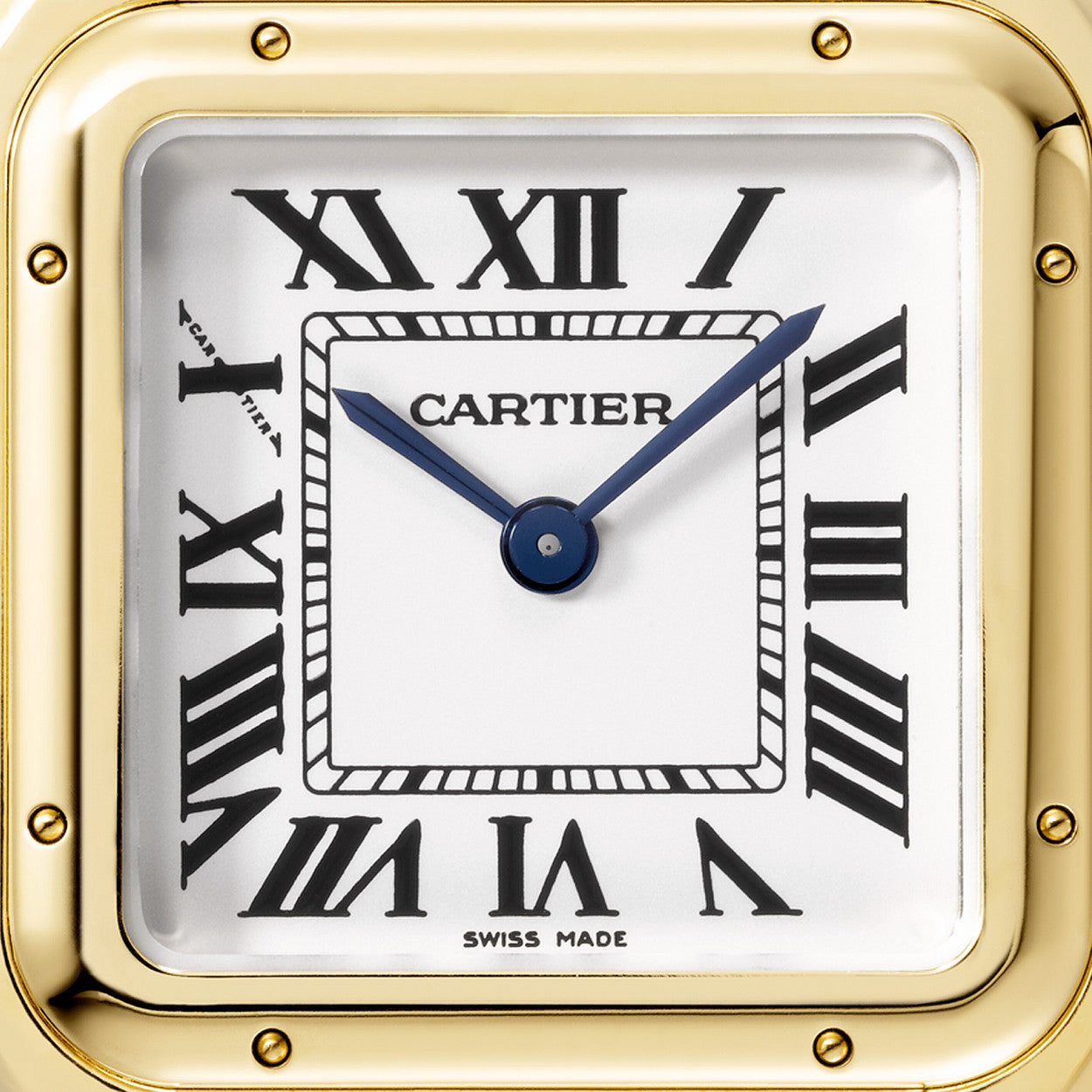 Cartier Panthère