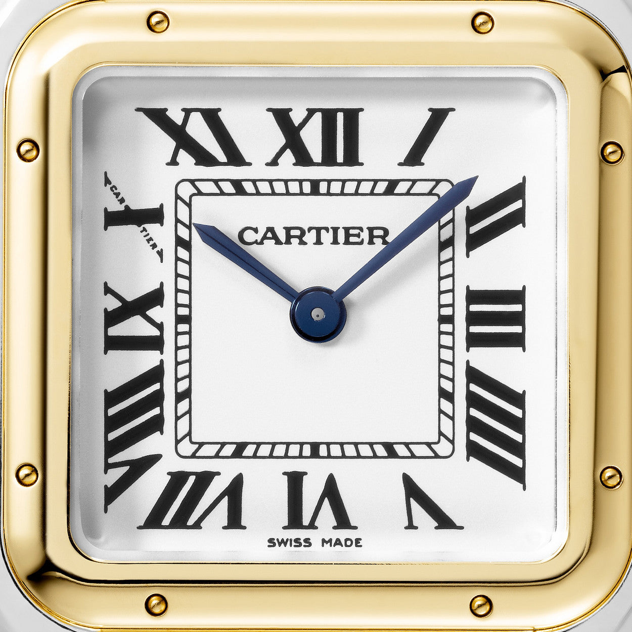 Cartier Panthère