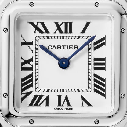 Cartier Panthère